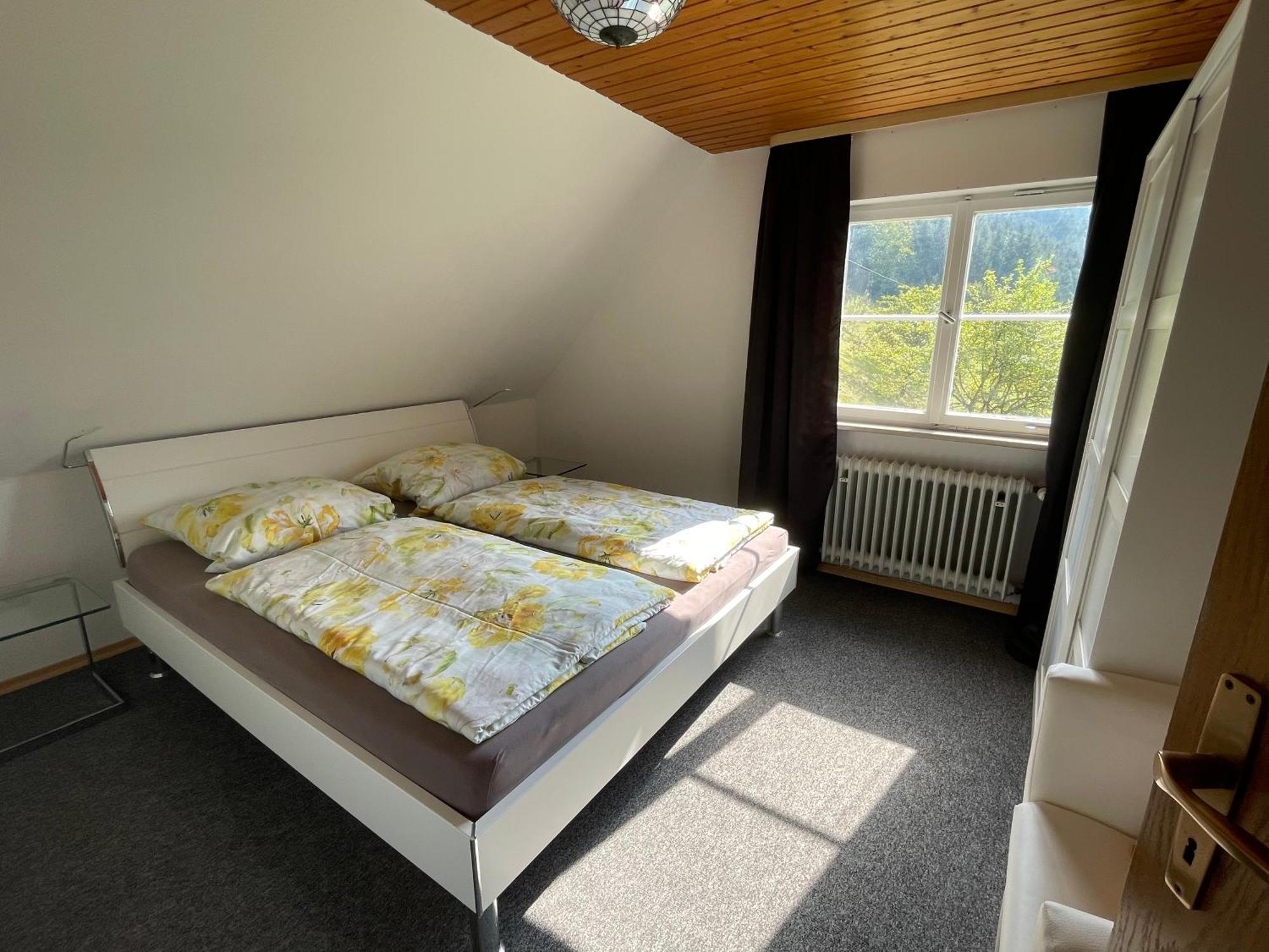 Apartment Mansarde Hesselbach